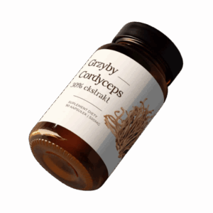 Cordyceps 90 Kapseln à 500mg