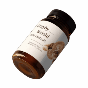 Reishi 90 Kapseln à 500mg