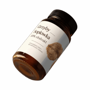 Igelstachelbart Extrakt 90 Kapseln à 500mg