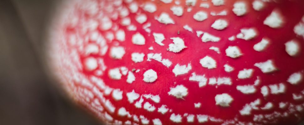 Mass Image Compressor, Quality:80